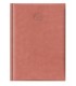 Agenda giornaliera 2026 mis.14.5X20.5 Mod. WALL DISPONIBILE IN 4 COLORI (SALMONE-blu--azzurro-VERDE PASTELLO)