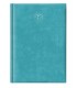 Agenda giornaliera 2026 mis.14.5X20.5 Mod. WALL DISPONIBILE IN 4 COLORI (SALMONE-blu--azzurro-VERDE PASTELLO)