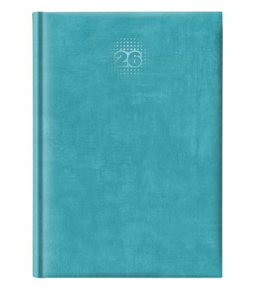Agenda giornaliera 2026 mis.14.5X20.5 Mod. WALL DISPONIBILE IN 4 COLORI (SALMONE-blu--azzurro-VERDE PASTELLO)