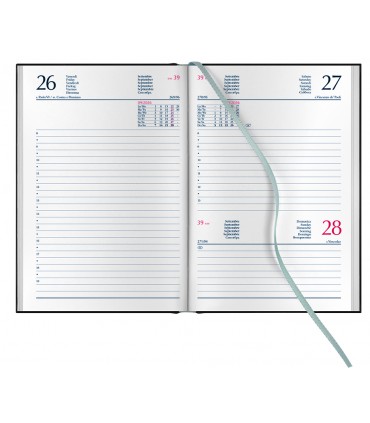 Agenda giornaliera 2026 mis.14.5X20.5 Mod. COPACABANA DISPONIBILE IN 4 COLORI (SALMONE-blu-ROSA-VERDE PASTELLO)