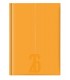 Agenda giornaliera 2026 mis.14.5X20.5 Mod. COPACABANA DISPONIBILE IN 4 COLORI (SALMONE-blu-ROSA-VERDE PASTELLO)