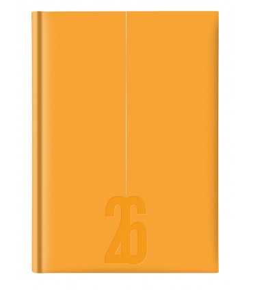 Agenda giornaliera 2026 mis.14.5X20.5 Mod. COPACABANA DISPONIBILE IN 4 COLORI (SALMONE-blu-ROSA-VERDE PASTELLO)
