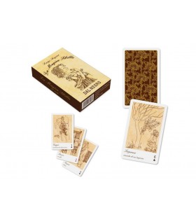 La Magica Sibilla Dal Negro di l.e.g. scapini