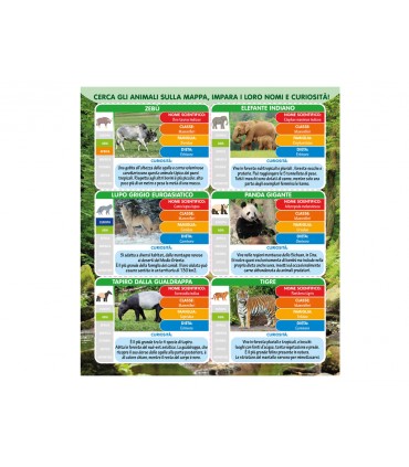 BUSTA GEO NATURE TEOREMA GIOCHI ANIMALI DELL'ASIA RIGIDI 6PZ. CON MAPPA ILLUSTRATIVA