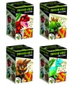 DINOSAUR WORLD COLLECTION 4 modelli collezionabili I'M A GENIUS LISCIANIGIOCHI