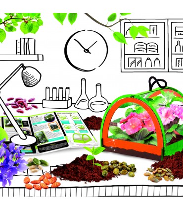 LA MIA SERRA POCKET Con Semi Vasetti e Torba I'M A GENIUS LISCIANIGIOCHI