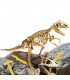 SUPER KIT T-REX Con fossile da scavare I'M A GENIUS LISCIANIGIOCHI