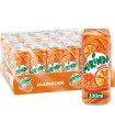 PEPSI MIRINDA ORANGE LATTINA DA 330ml CARTONE DA 12 PZ.( SCADENZA 18/01/2026)