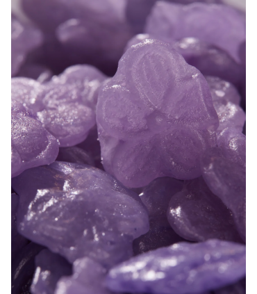 PASTIGLIE LEONE TONDINO CARAMELLE GUSTO DI VIOLETTA IN LATTA DA COLLEZIONE CONF. DA 150G