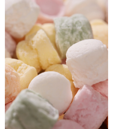 PASTIGLIE LEONE LATTA REGALO SMALL PASTIGLIE DISSETANTI MISTE CONF. DA 250 GR.