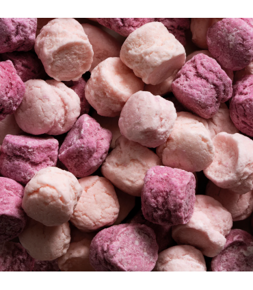 PASTIGLIE LEONE LATTA REGALO SMALL PASTIGLIE FRUTTI DI BOSCO CONF. DA 250 GR.