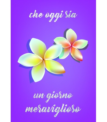 Biglietto italian joy BUONA FORTUNA ASSORTITI conf. da 12 pz.