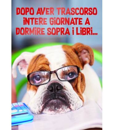 Biglietto italian joy LAUREA ASSORTITI IN 4 SOGGETTI conf. da 12 pz.