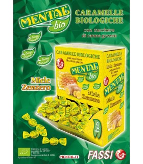 MENTAL BIO ZENZERO E MIELE SFUSE EXPO 750 G (190 PZ. CIRCA)