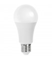 Lampadina a LED AIGOSTAR Luce fredda PASSO E27 Potenza 20Watt 6500K RESA 131W