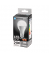 Lampadina a LED AIGOSTAR Luce fredda PASSO E27 Potenza 20Watt 6500K RESA 131W