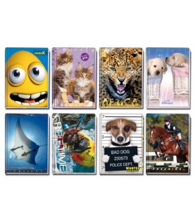 Maxi cartonati blasetti rig. 5M 72 fogli copertine fantasia conf. 5 pz.