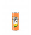 THE' SAN BENEDETTO IN LATTINA DA 330ML GUSTO pesca CONF. 24 PZ.