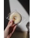 DONUTS ARTIGIANALI TERVED 45G SENZA GLUTINE tutti i gusti con farina di grano di saraceno EXPO DA 15PZ. assortiti con 5 gusti