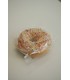 DONUTS ARTIGIANALI TERVED 45G SENZA GLUTINE tutti i gusti con farina di grano di saraceno EXPO DA 15PZ. assortiti con 5 gusti