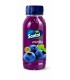 BEVANDA SUCCO DI FRUTTA SANTAL MIRTILLO IN PET DA 250ML CONF. DA 6PZ