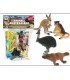 BUSTA GEO NATURE TEOREMA GIOCHI ANIMALI DELL'AUSTRALIA