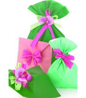 Buste Regalo in PPL Fantasia Matpearly mis. 20x40 cm conf. da 100 pz assortito con 5 colori