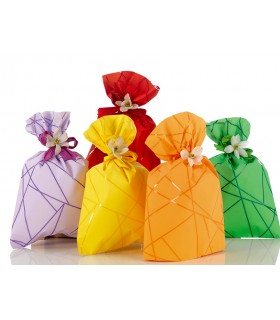 BUSTE Regalo in PPL mod.SEGMENTS 40 MICRON mis. 35X50 cm conf. da 50 pz. ASSORTITI