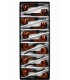 Pipa in LEGNO MARRONE LUCIDO Atomic L.12 cm Expo da 12pz. Assortiti