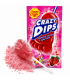 CHUPA CHUPS CRAZY DIPS CONF. DA 24 PZ.