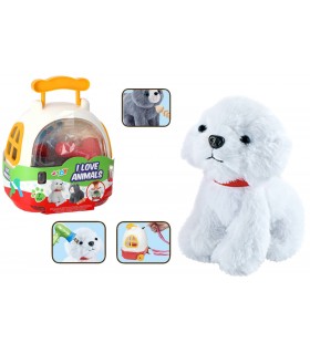 ZAINETTO TRASPORTINO CANE/GATTO CON ACCESSORI GLOBO GIOCHI DISPONIBILE IN 2 MODELLI