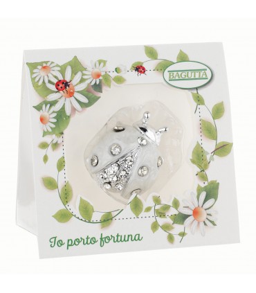 COCCINELLE CON CRISTALLI BAGUTTA 12 PZ ASSORTITI CONFEZIONATI SINGOLARMENTE CON SCATOLA E BUSTA DA REGALO AK2154