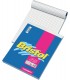 Blocco notes Blasetti Formato 15x21 5MM conf. 10 pz.