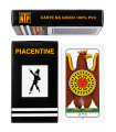 Carte Regionali Piacentine NTP