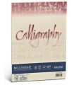 Cartoncino Millerighe Favini Calligraphy F.to A4 da 100gr conf. da 50 fogli color Avorio