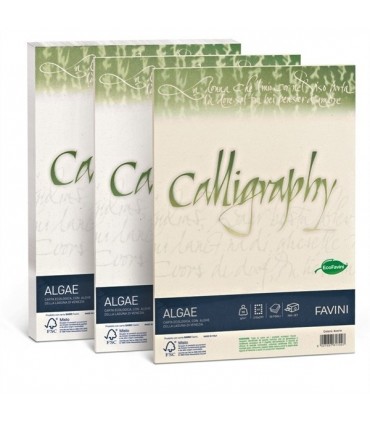 Cartoncino Algae Favini Calligraphy F.to A4 90gr conf. da 50 Fogli colore Avorio