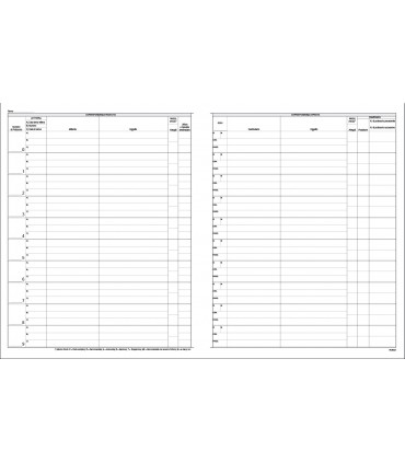 Regiatro Protocollo Arrivo - Partenza , 50 prospetti