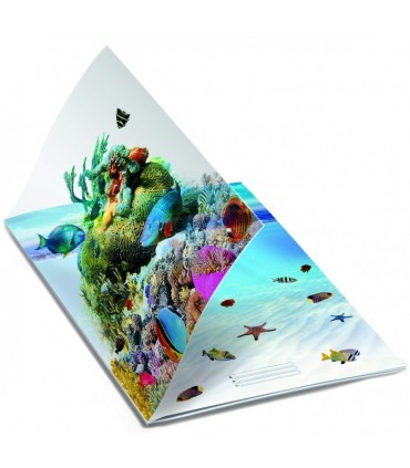 Maxi Quaderno Blasetti Fantasia con Copertina PPL in 3D Rig.1R conf. da 10 pz. Fantasie assortite
