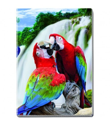 Maxi Quaderno Blasetti Fantasia con Copertina PPL in 3D Rig.1R conf. da 10 pz. Fantasie assortite