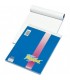 Blocco notes Blasetti Formato 21X29.7 rig. 5m conf. 10 pz.
