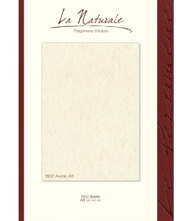Carta Neutra Avorio A3 160 gr.  conf. 12 fogli