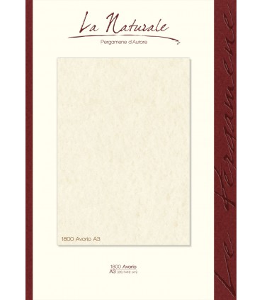 Carta Neutra Avorio A3 160 gr.  conf. 12 fogli