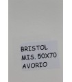 Bristol Favini misura 50x70 gr.200 avorio