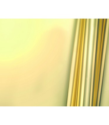 Buste Regalo Lucide in polipropilene misura 25  x 40 conf. 100 pz.  ass.