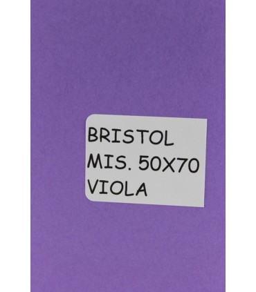 Bristol Favini misura 50x70 gr.200 viola