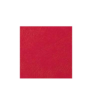 Cartoncino A4 Goffrato per rilegatura conf. 100 fogli