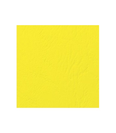 Cartoncino A4 Goffrato per rilegatura conf. 100 fogli