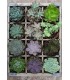 Puzzle Ravensburger 27x39 cm. 300 pz. Green