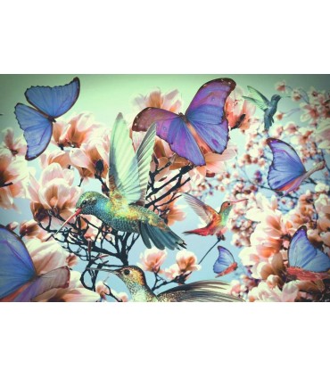 Puzzle Ravensburger 27x39 cm. 300 pz. Hummingbrid