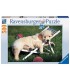 Puzzle Ravensburger 27x39 cm. 500 pz. Cuccioli a Riposo